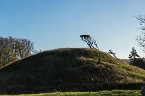 Gravhøj